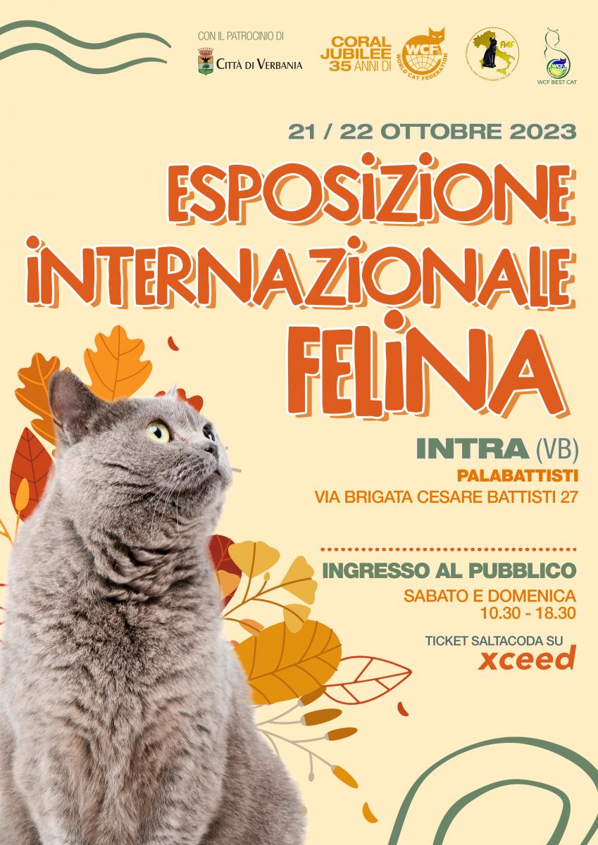 VERBANIA INTRA - Esposizione internazionale Felina