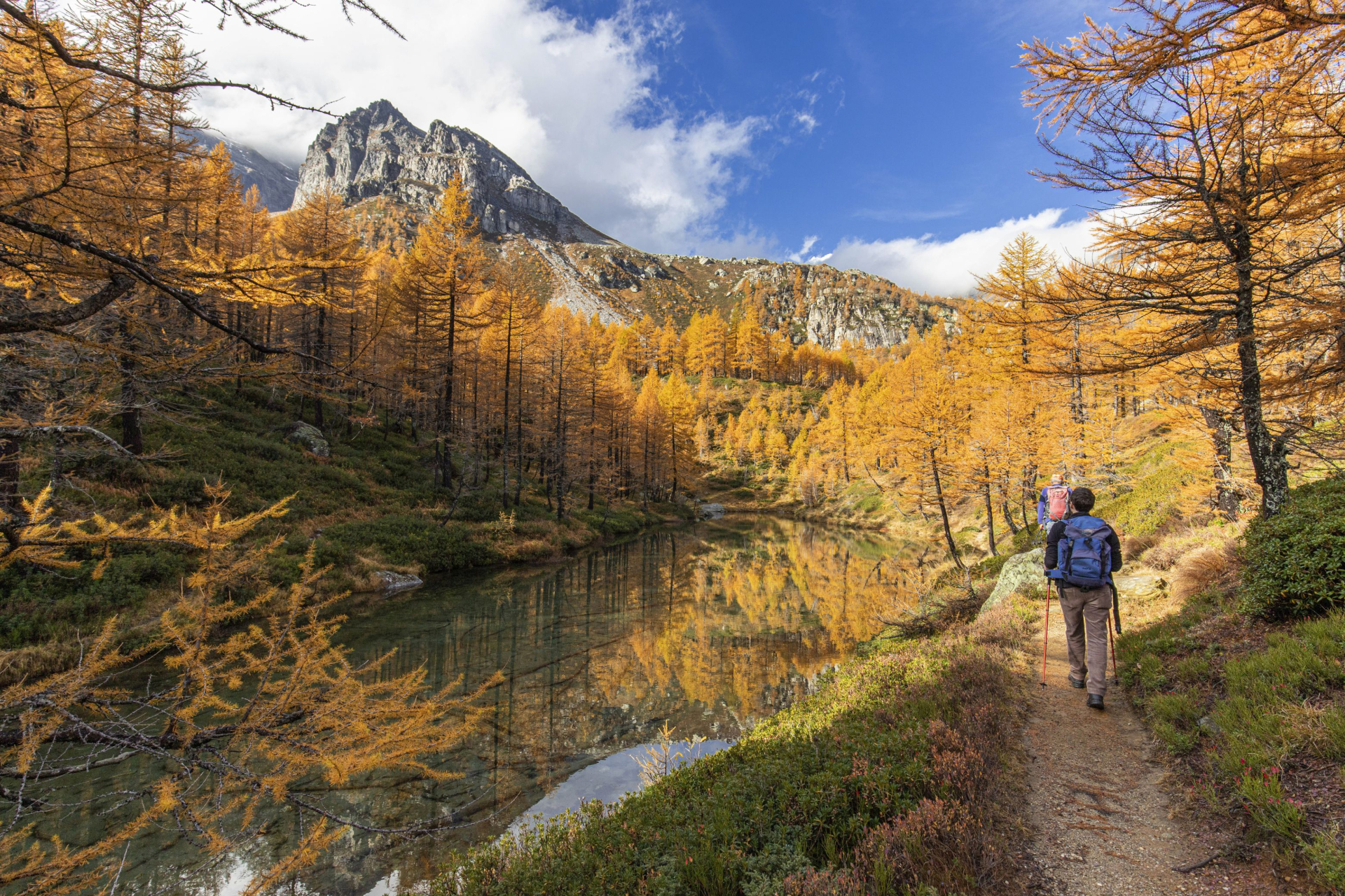 Foto: Marco Benedetto Cerini Valle Strona